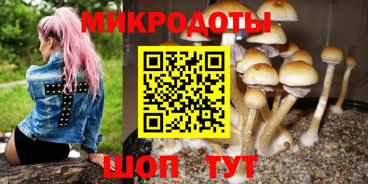 Галлюциногенные грибы GOLDEN TEACHER  Вход с VPN  Можайск 