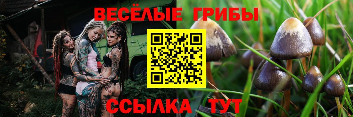 Галлюциногенные грибы мицелий Можайск